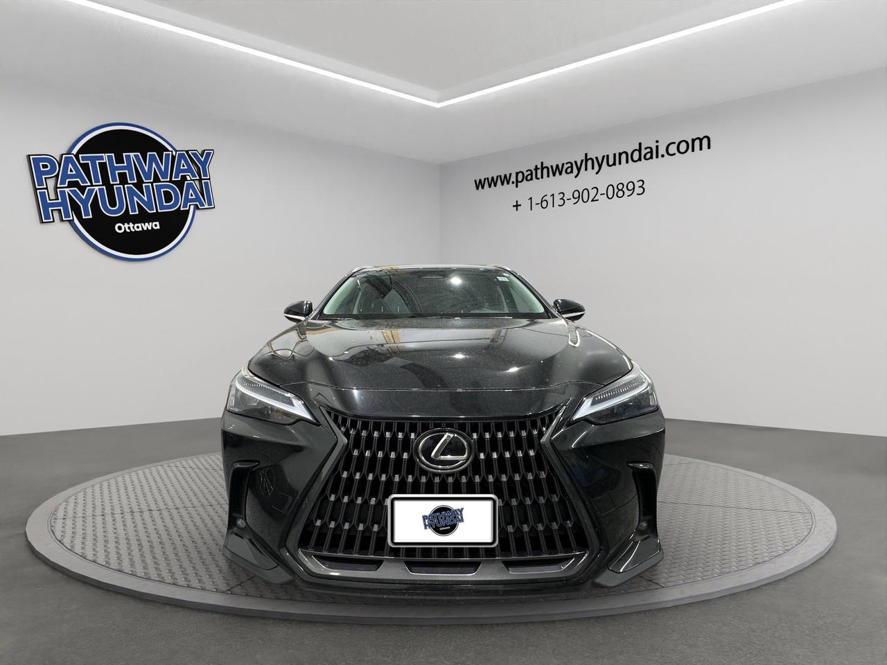 2024 Lexus NX NX 250 | Reverse Cam | Heated Seats Photo