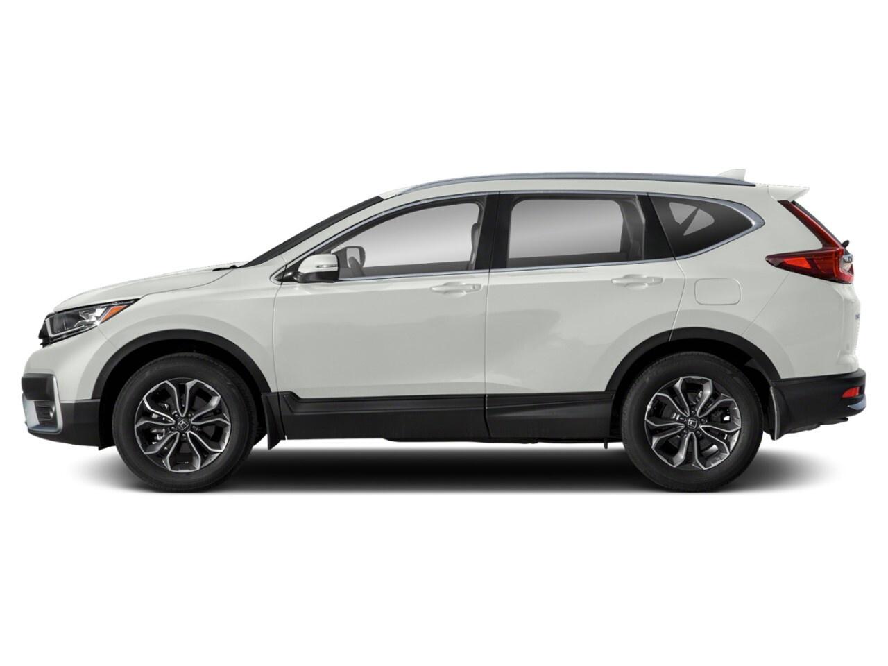 2020 Honda CR-V EX-L AWD Photo
