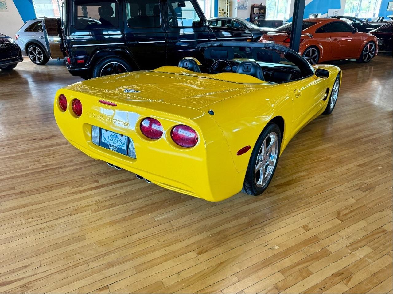 2003 Chevrolet Corvette 6 Speed Manual Convertible Low KMs Certified Photo