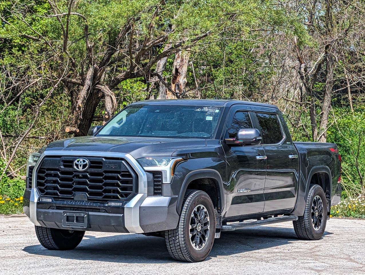 2024 Toyota Tundra Limited  Photo