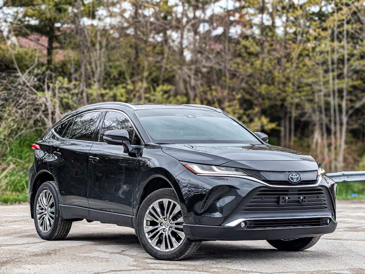 2024 Toyota Venza XLE Photo