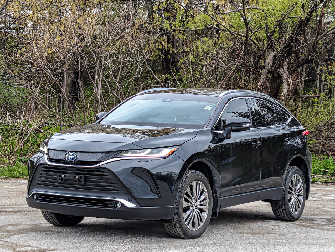 2024 Toyota Venza XLE Photo