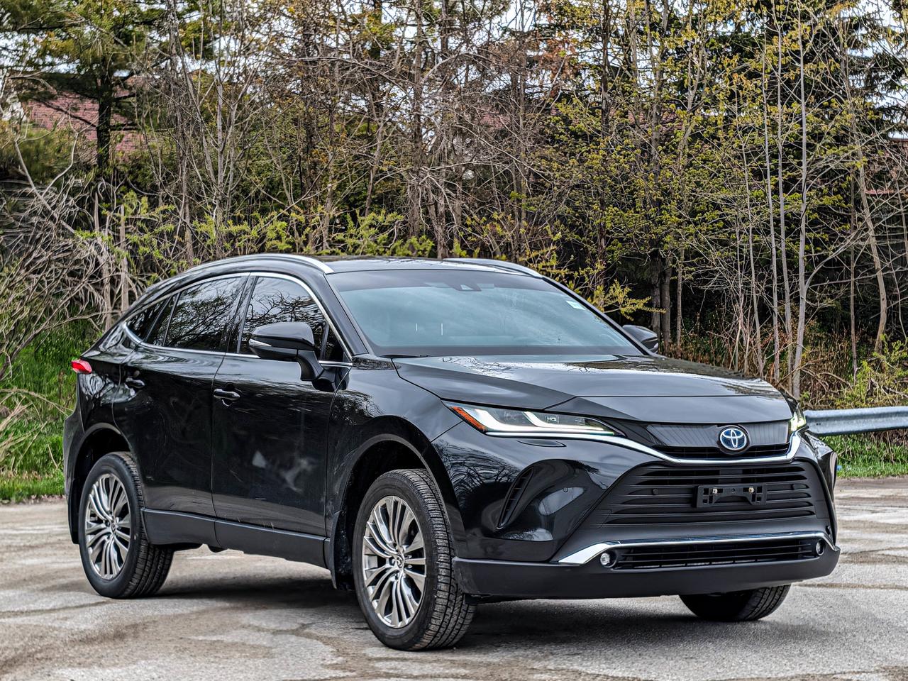 2024 Toyota Venza XLE Photo