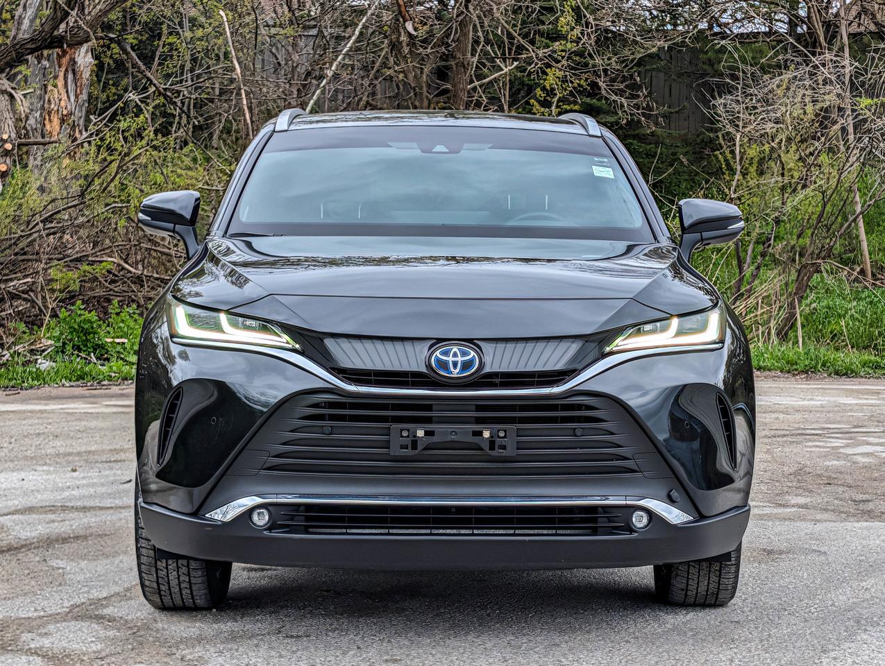 2024 Toyota Venza XLE Photo