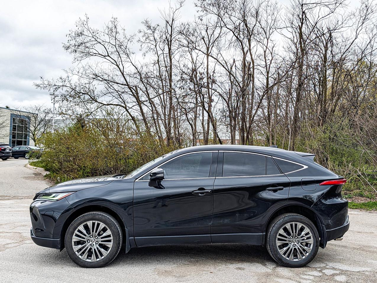 2024 Toyota Venza XLE Photo