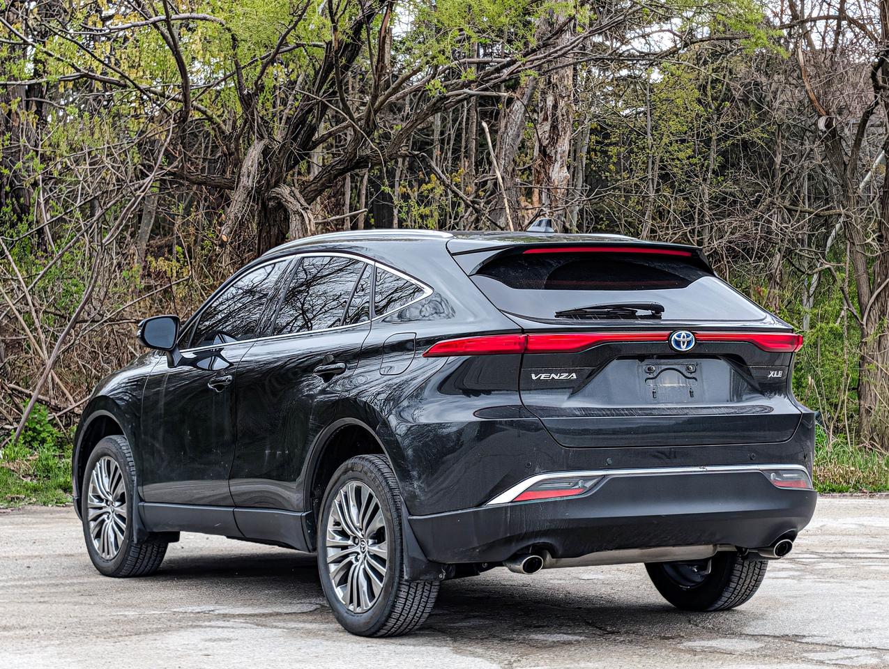 2024 Toyota Venza XLE Photo