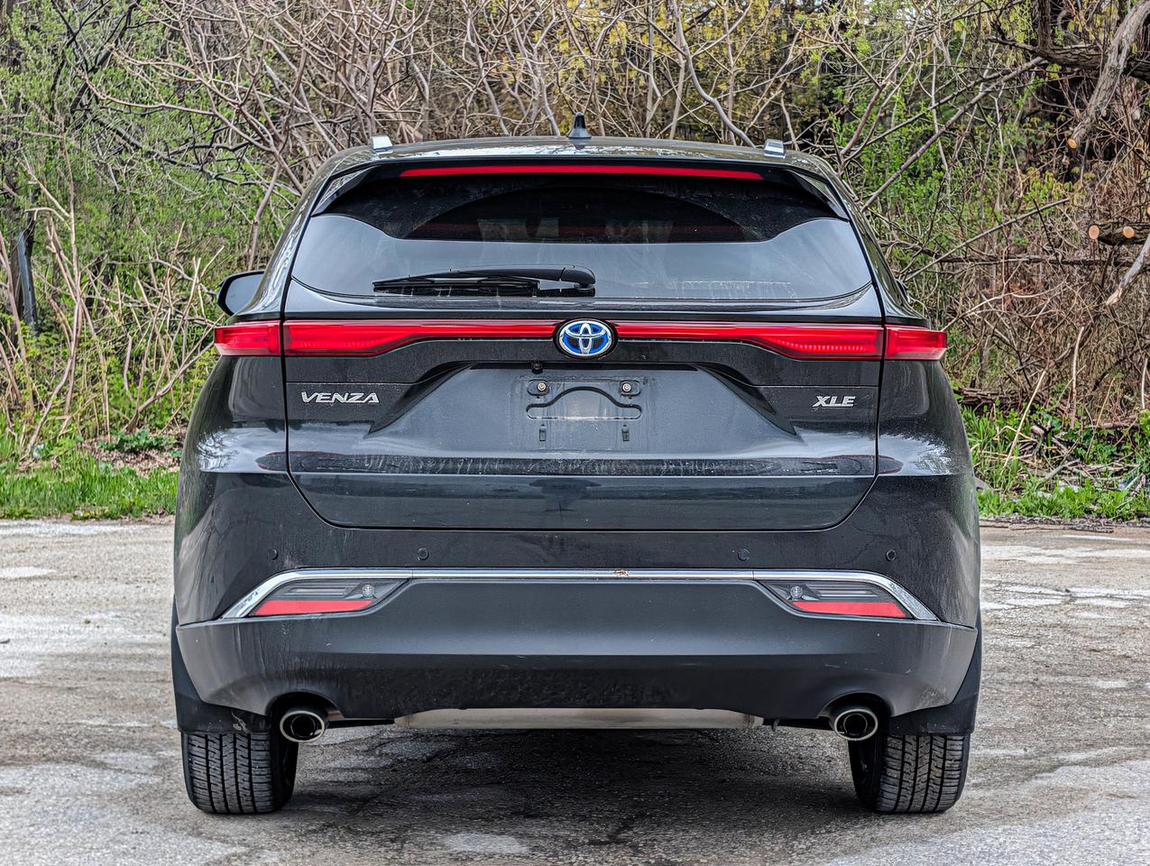 2024 Toyota Venza XLE Photo