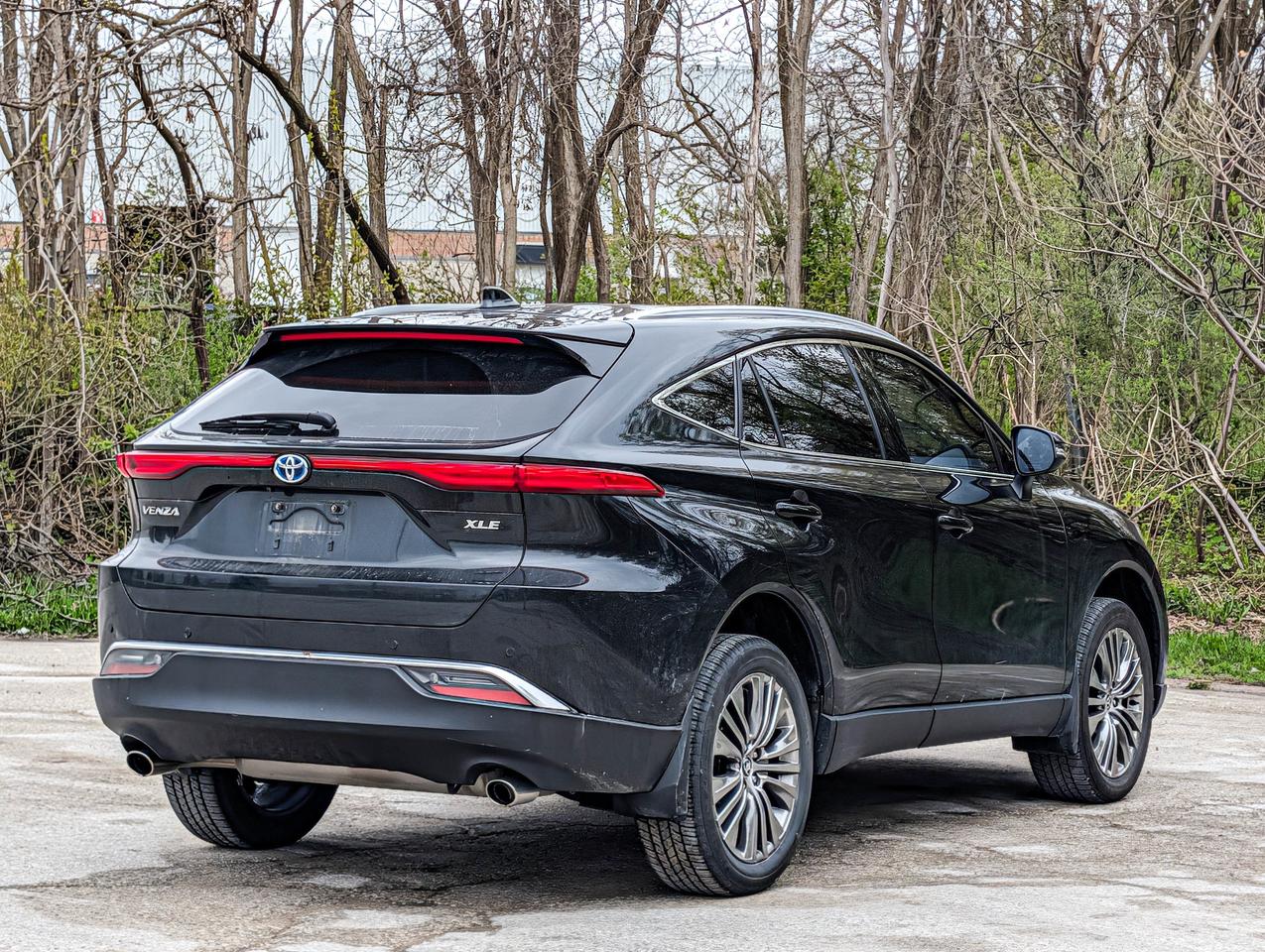 2024 Toyota Venza XLE Photo