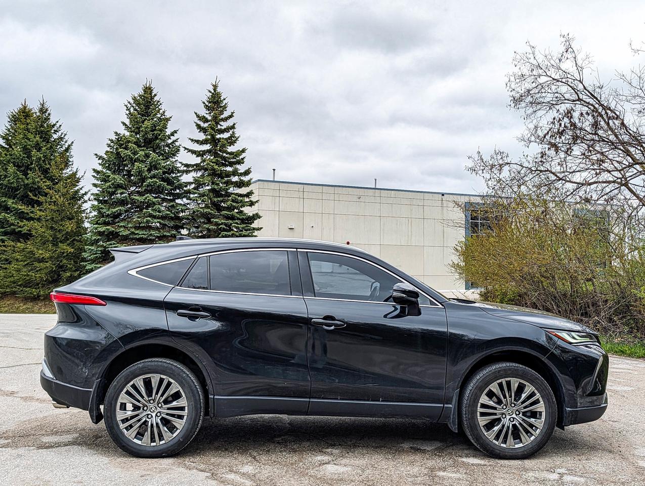 2024 Toyota Venza XLE Photo