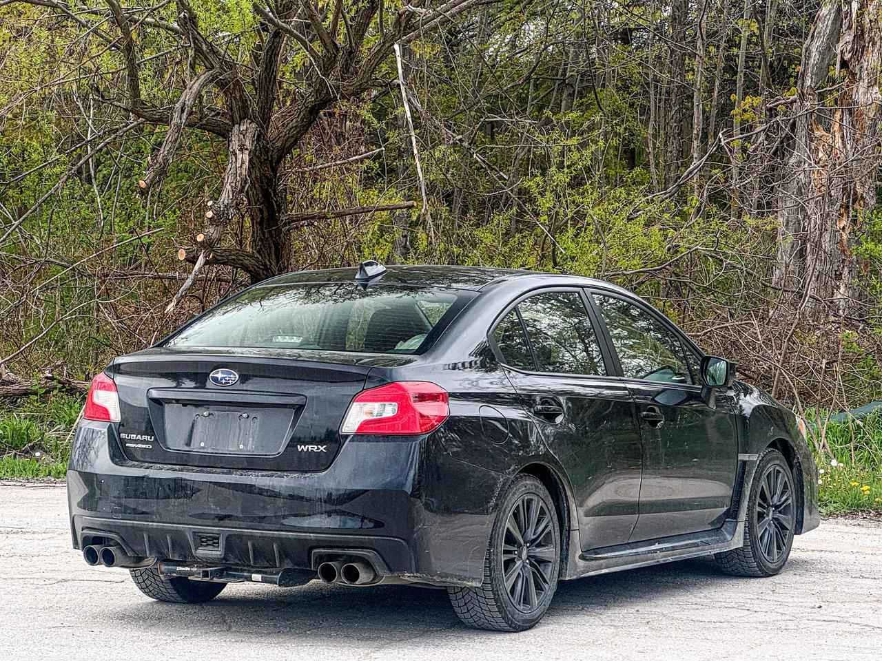 2021 Subaru WRX  Photo