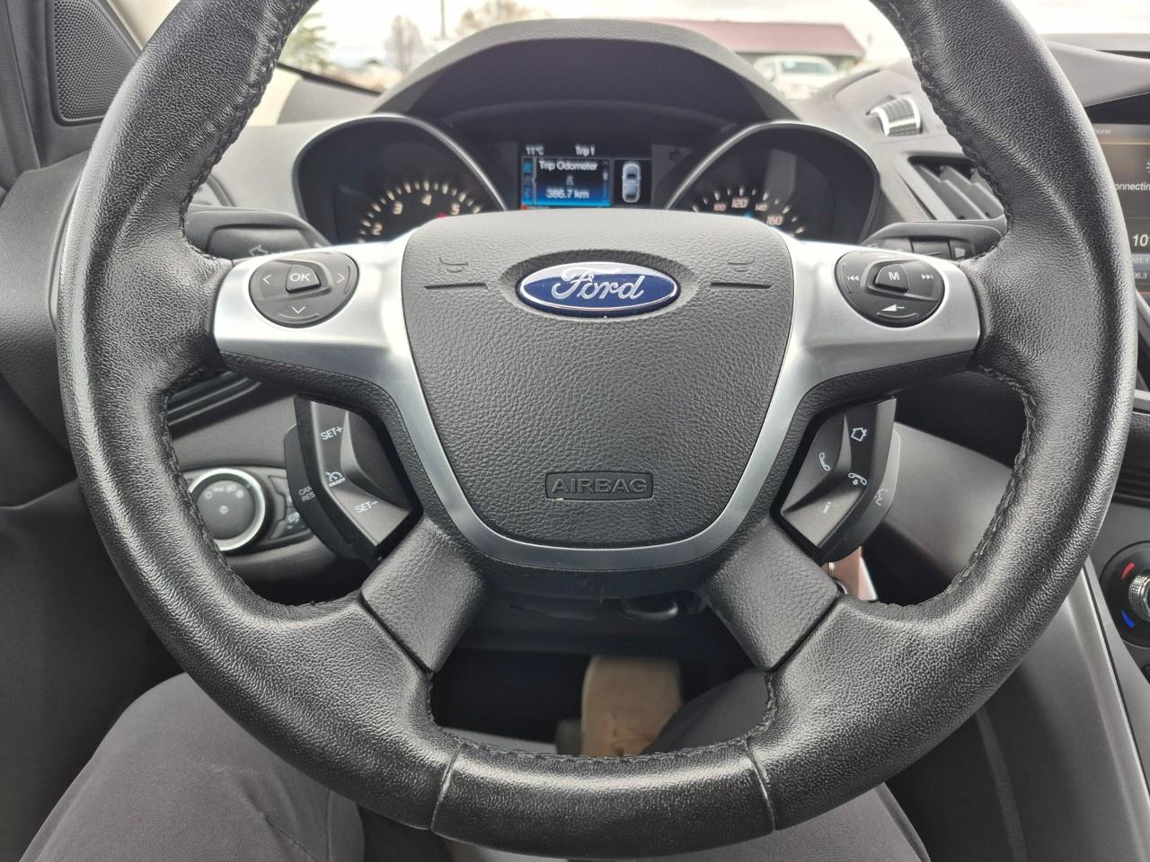 14123077