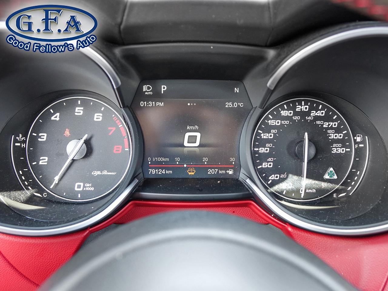2019 Alfa Romeo Stelvio QUADRIFOGLIO, AWD, LEATHER & SUEDE SEATS, POWER SE Photo
