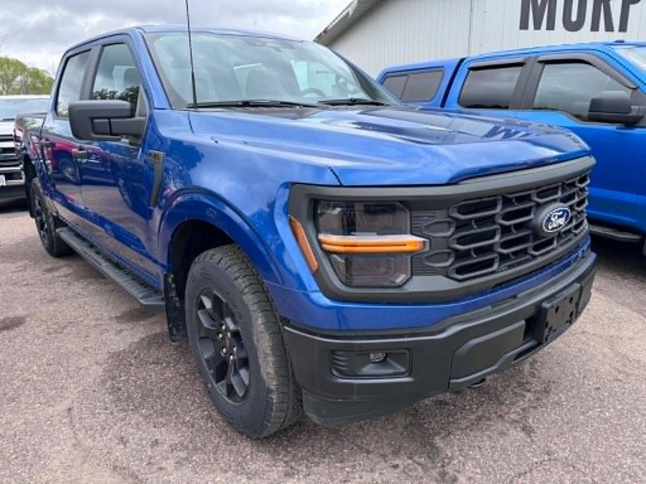 2024 Ford F-150 STX Photo5