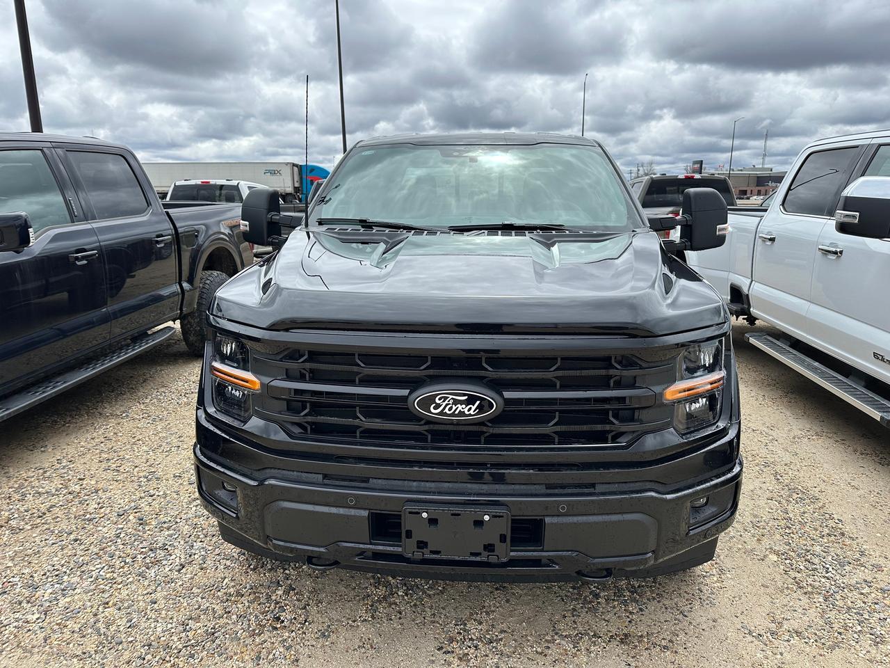 2026 Ford F-150 XLT 4WD SuperCrew 6.5' Box 302A Photo5