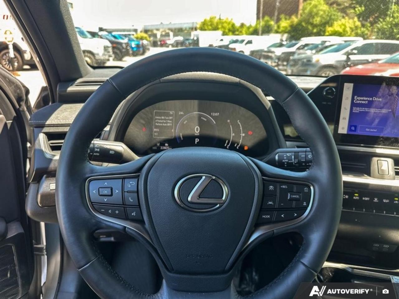 2025 Lexus UX 300h  UX 300H AWD HYBRID Photo