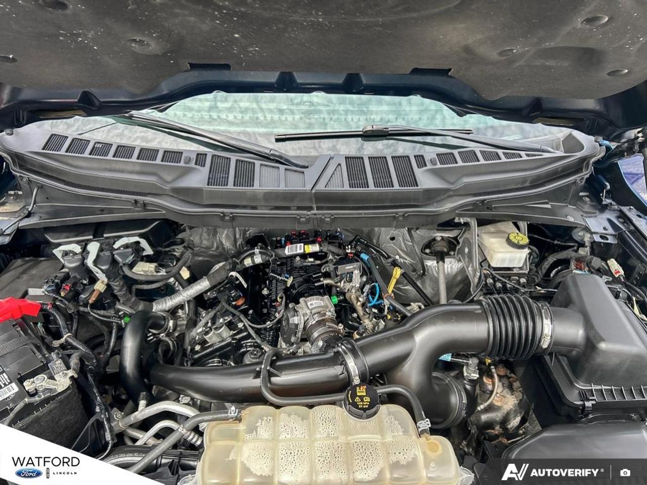 2023 Ford F-150 XLT 4WD SuperCrew 5.5' Box Photo
