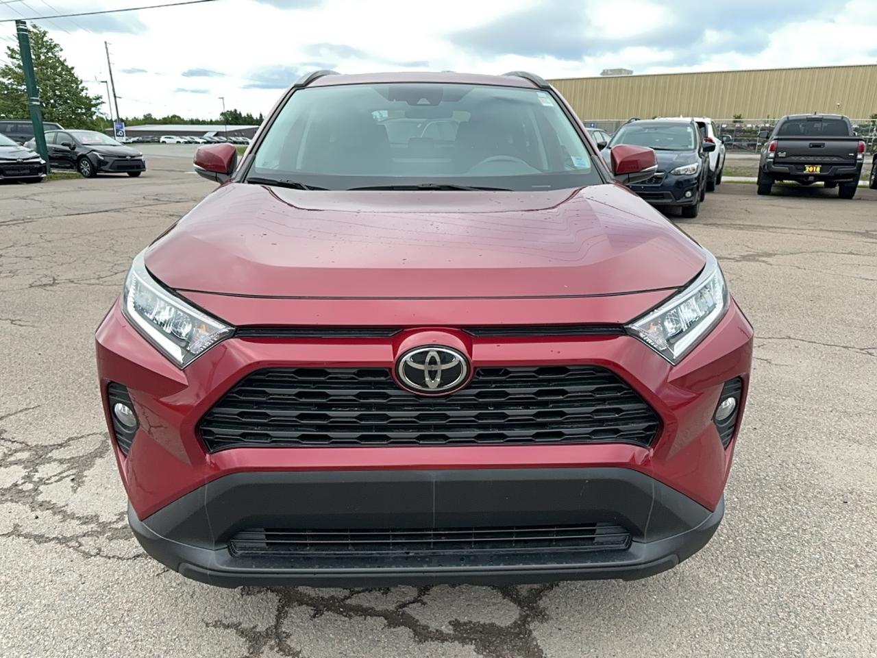 2021 Toyota RAV4 XLE AWD Photo1