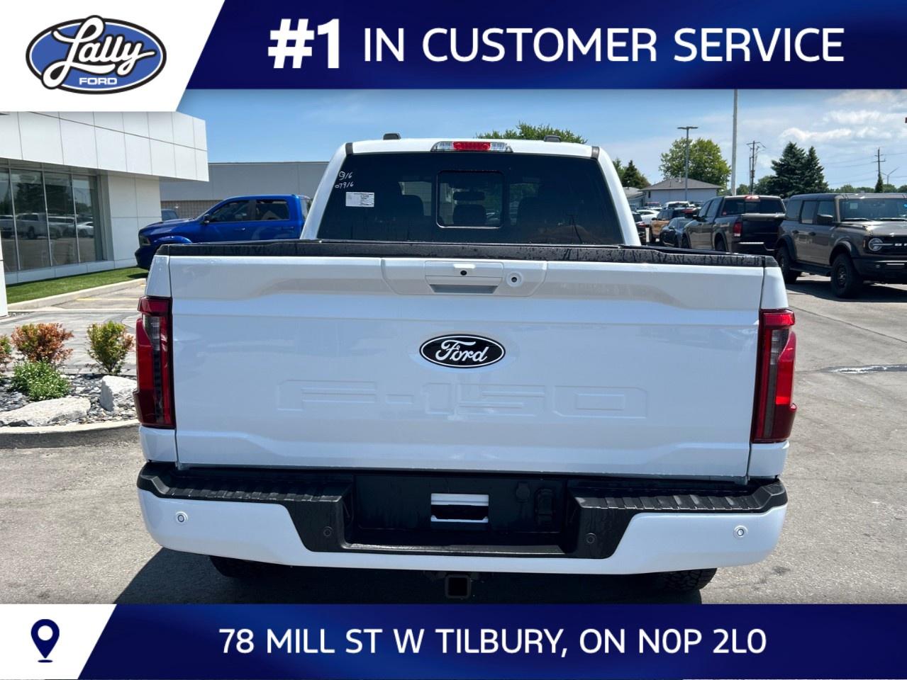 2026 Ford F-150 XLT 4WD SuperCrew 6.5' Box Photo3
