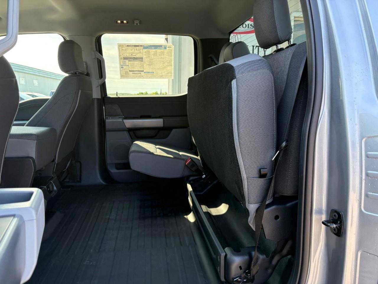 2026 Ford F-150 XLT 4WD SuperCrew 6.5' Box Photo