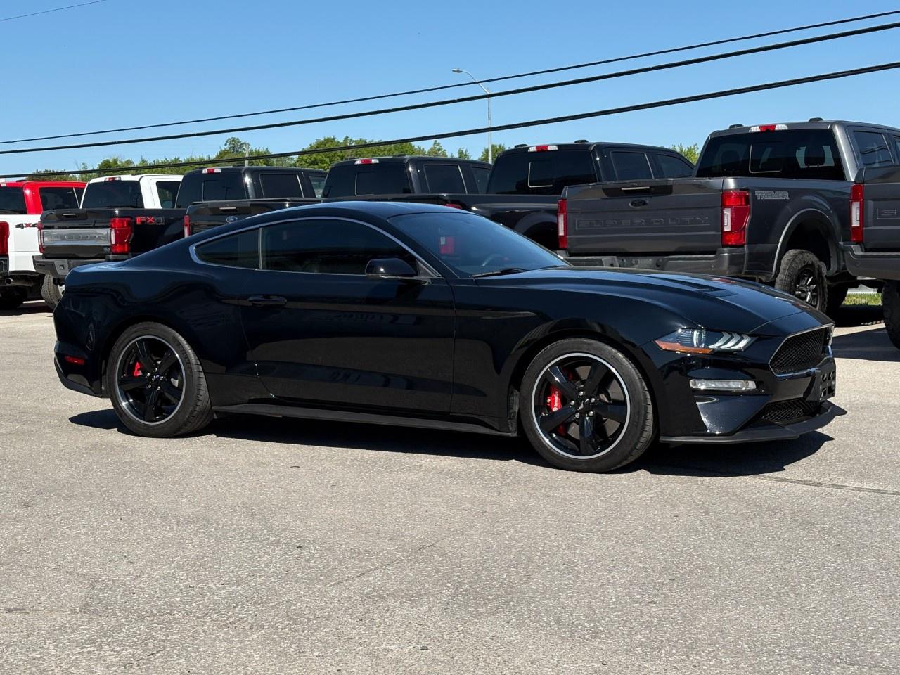 2020 Ford Mustang BULLITT FASTBACK Photo