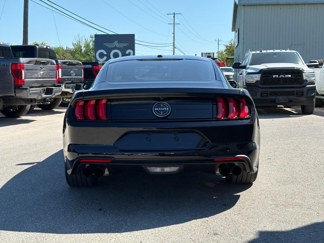 2020 Ford Mustang BULLITT FASTBACK Photo