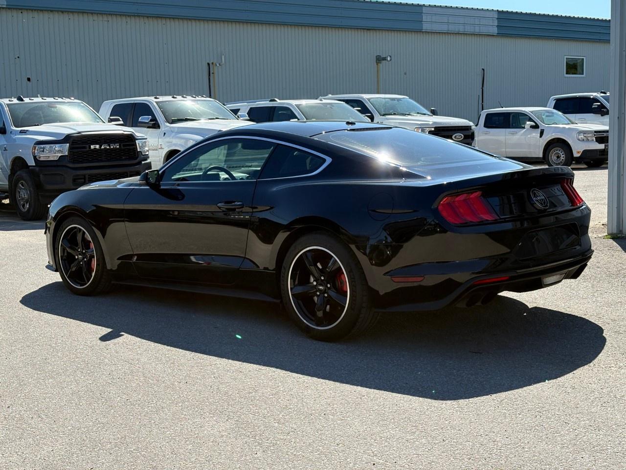 2020 Ford Mustang BULLITT FASTBACK Photo