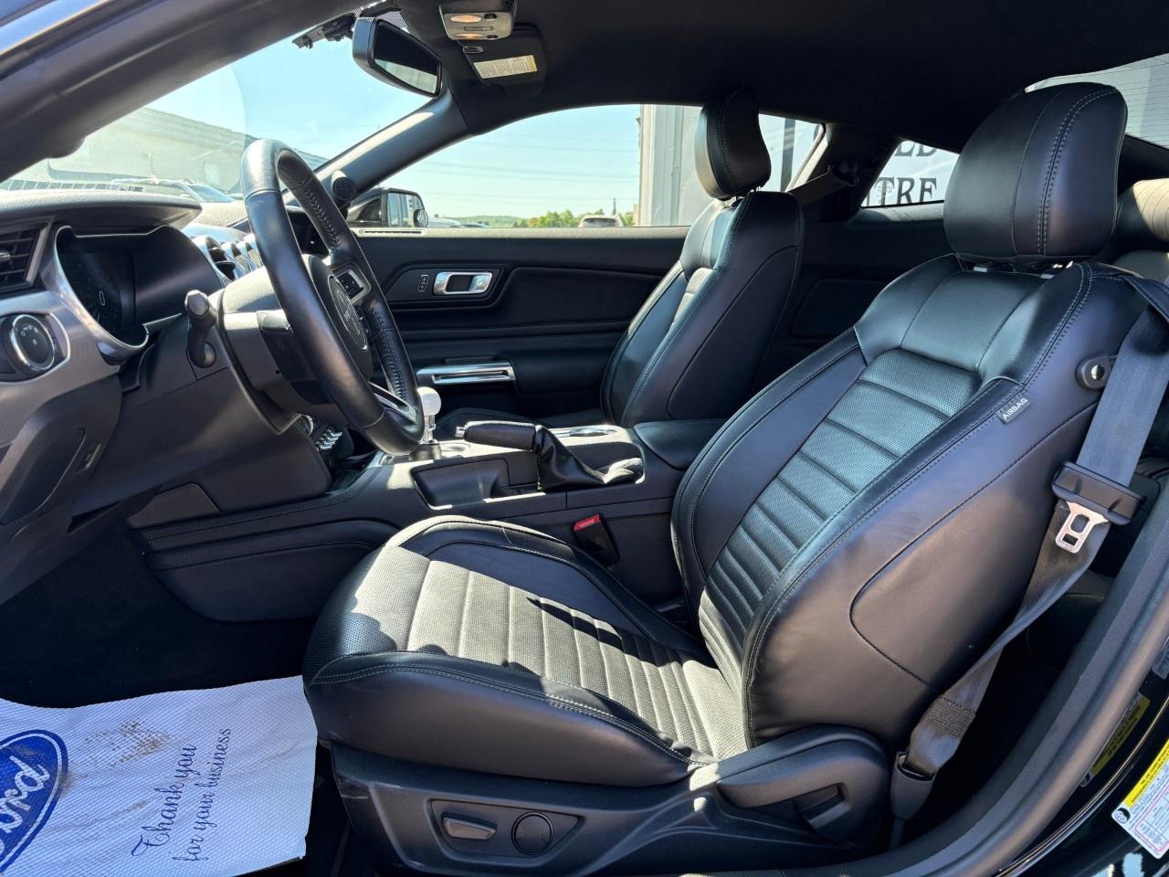 2020 Ford Mustang BULLITT FASTBACK Photo