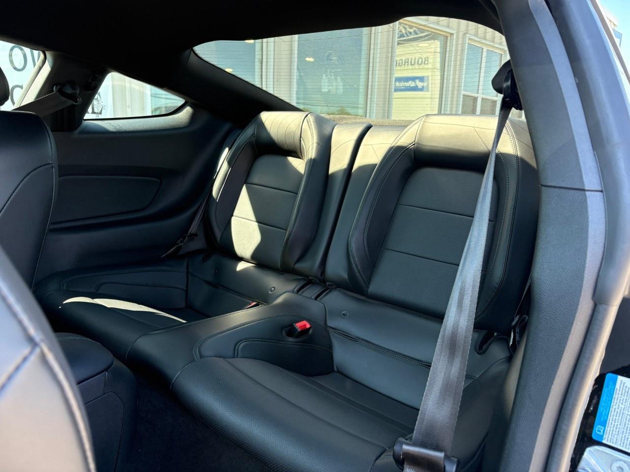 2020 Ford Mustang BULLITT FASTBACK Photo