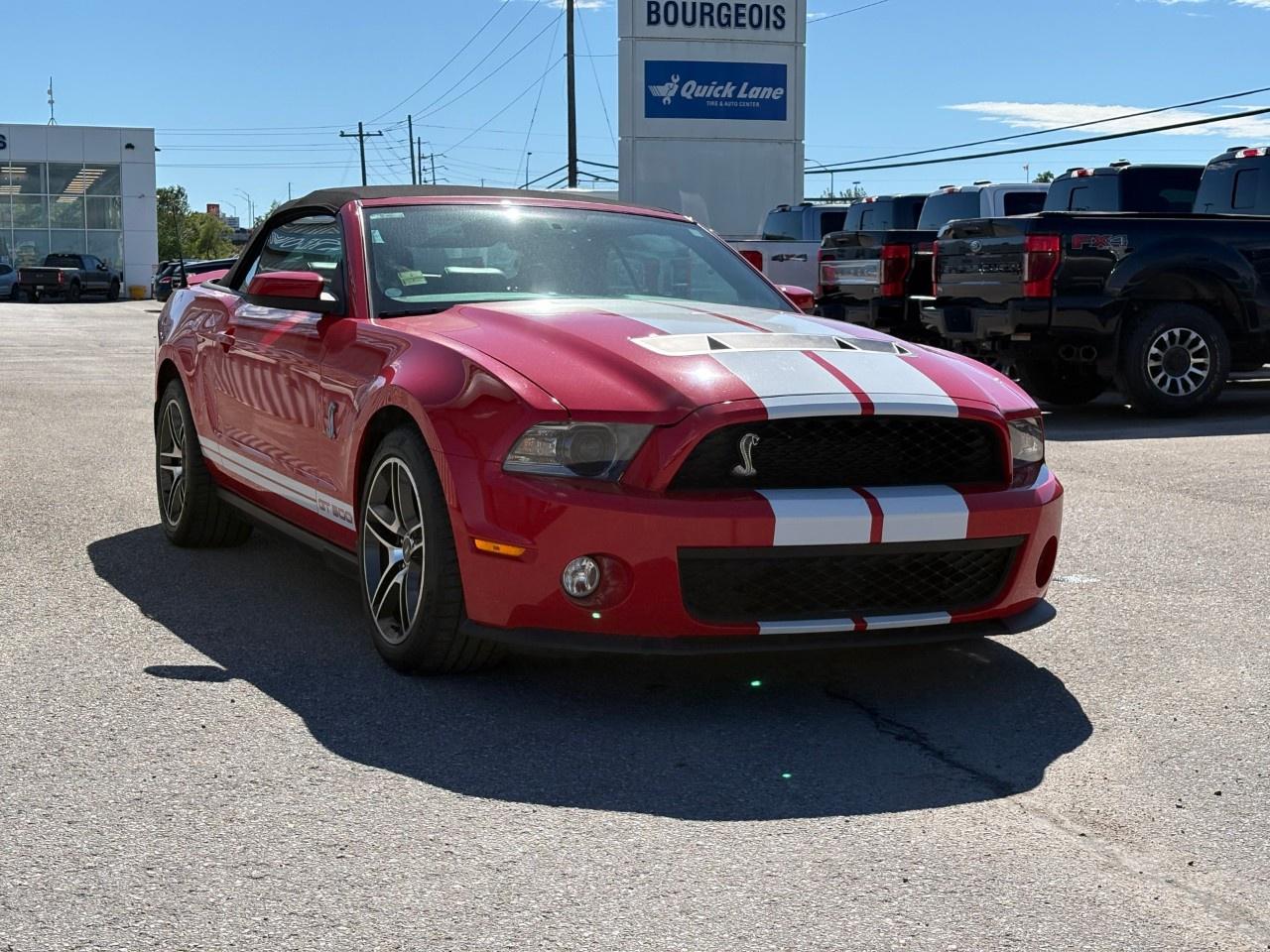 2010 Ford Mustang 2dr Conv Shelby GT500 Photo3