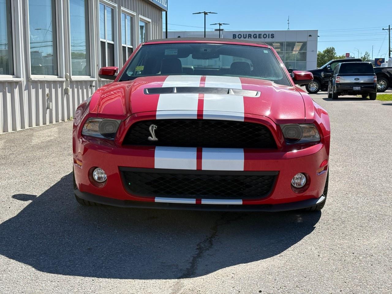 2010 Ford Mustang 2dr Conv Shelby GT500 Photo