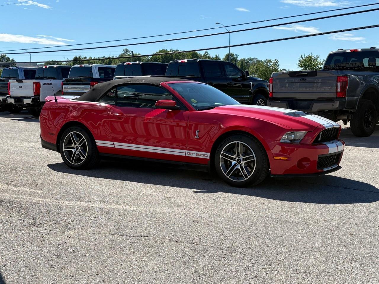 2010 Ford Mustang 2dr Conv Shelby GT500 Photo
