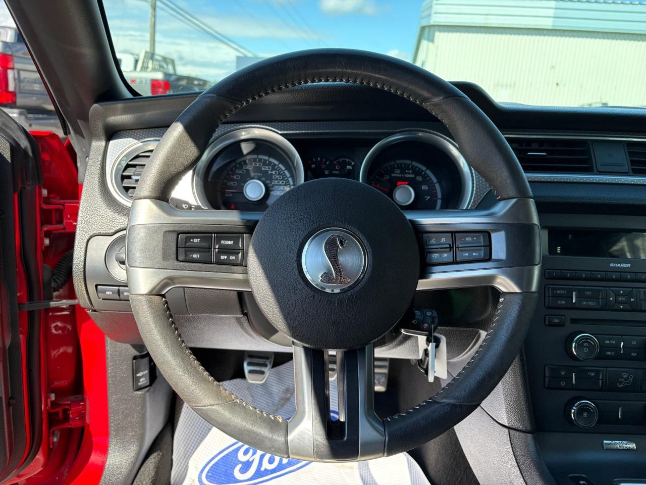 2010 Ford Mustang 2dr Conv Shelby GT500 Photo