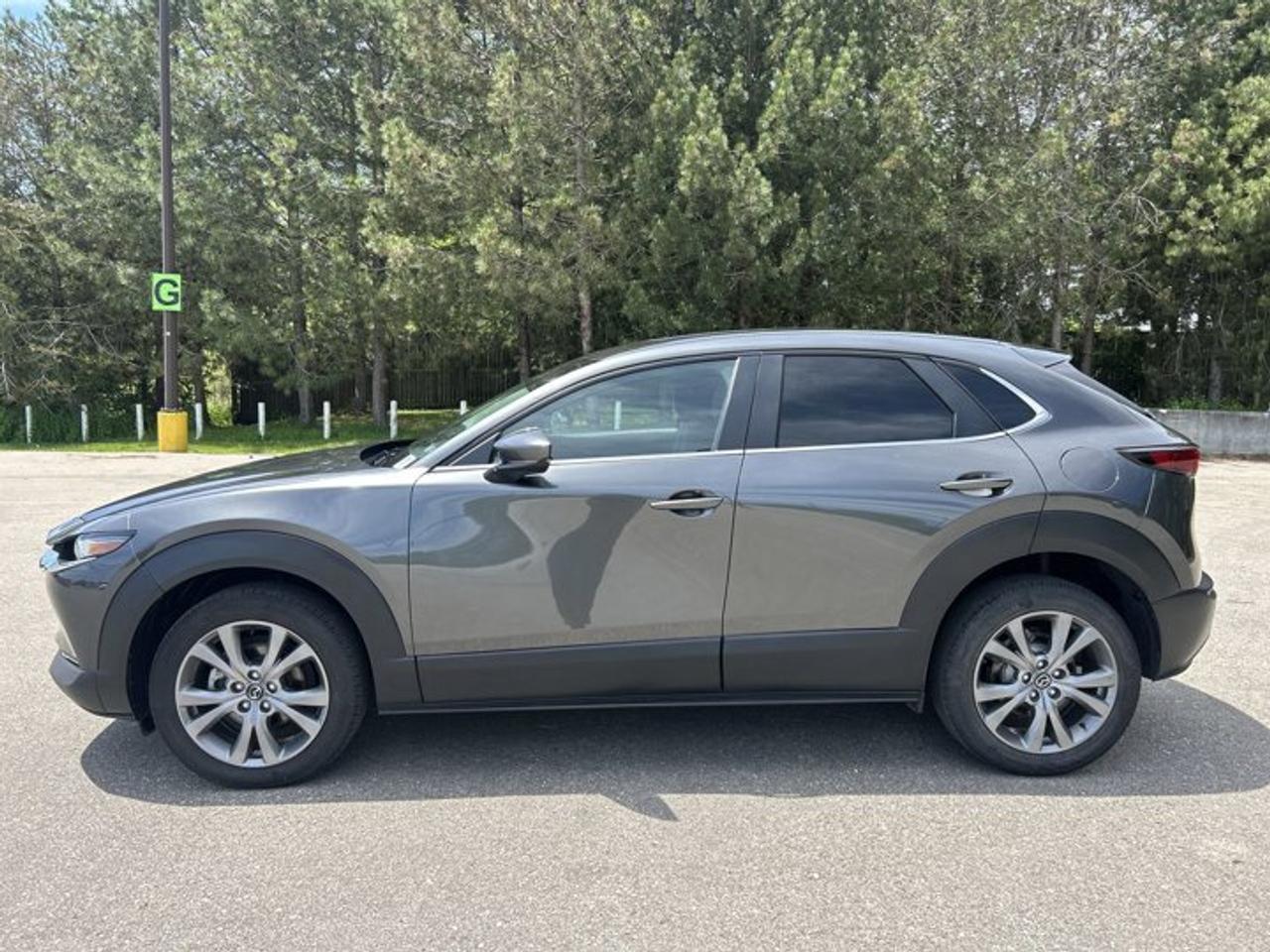 14125594.813528742