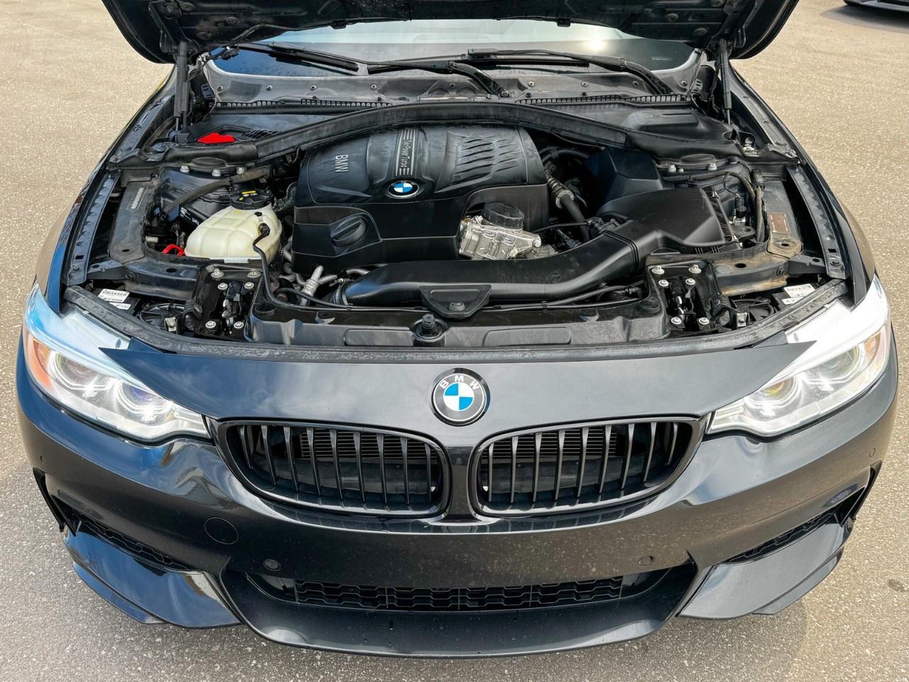 2015 BMW 4 Series Individual / Harman Kardon / M brakes Photo