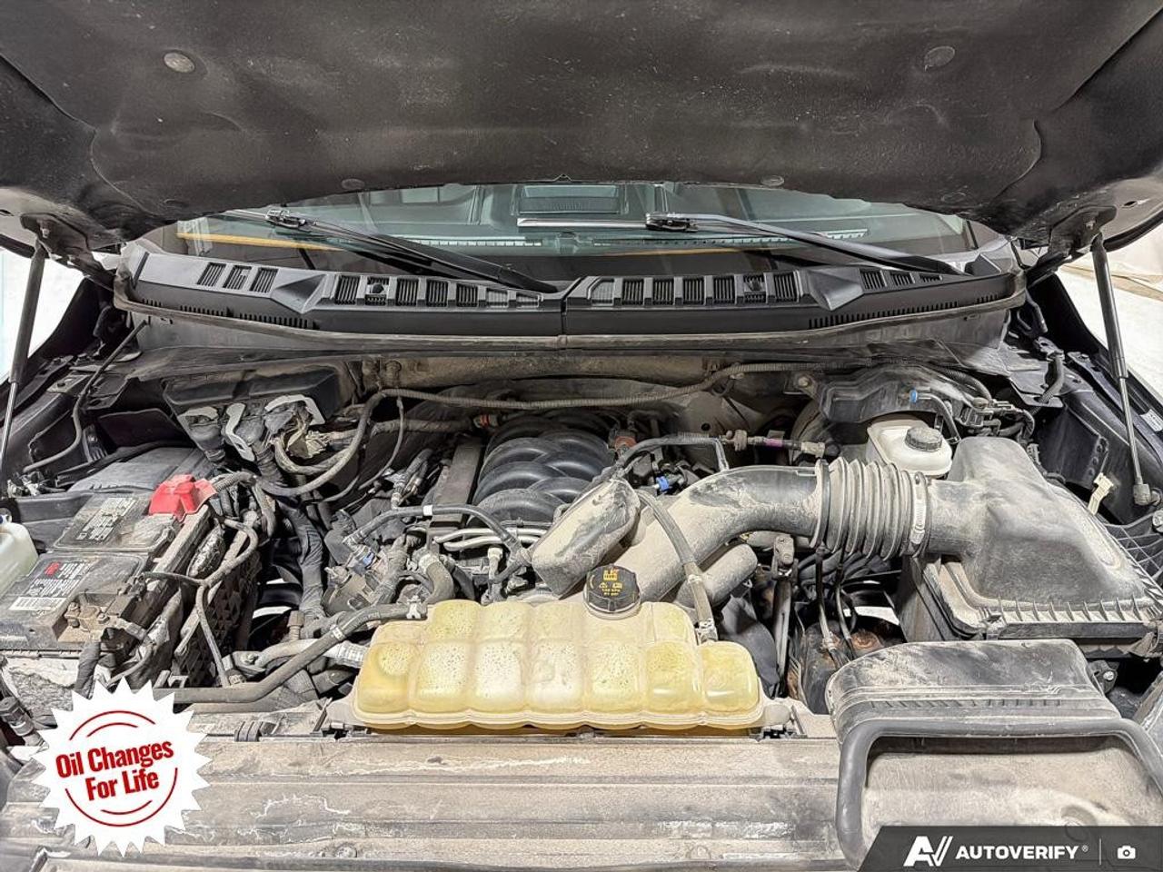 2019 Ford F-150  Photo