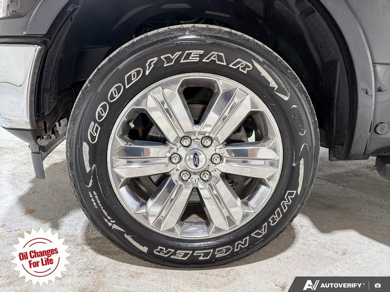 2019 Ford F-150  Photo