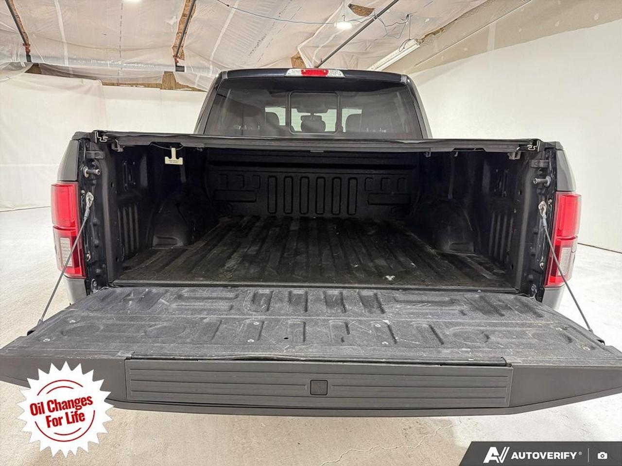 2019 Ford F-150  Photo
