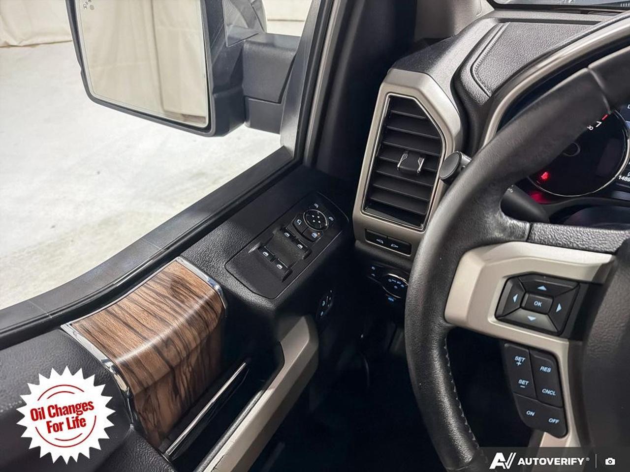 2019 Ford F-150  Photo