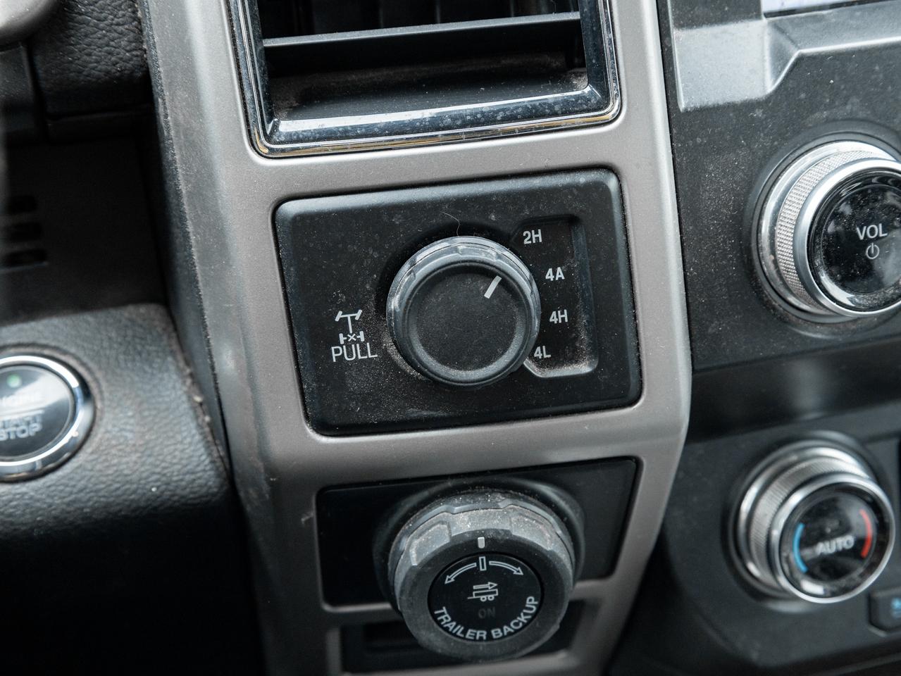 2019 Ford F-150 AS IS   XLT 5.0L V8   FX4   LOCAL TRADE Photo