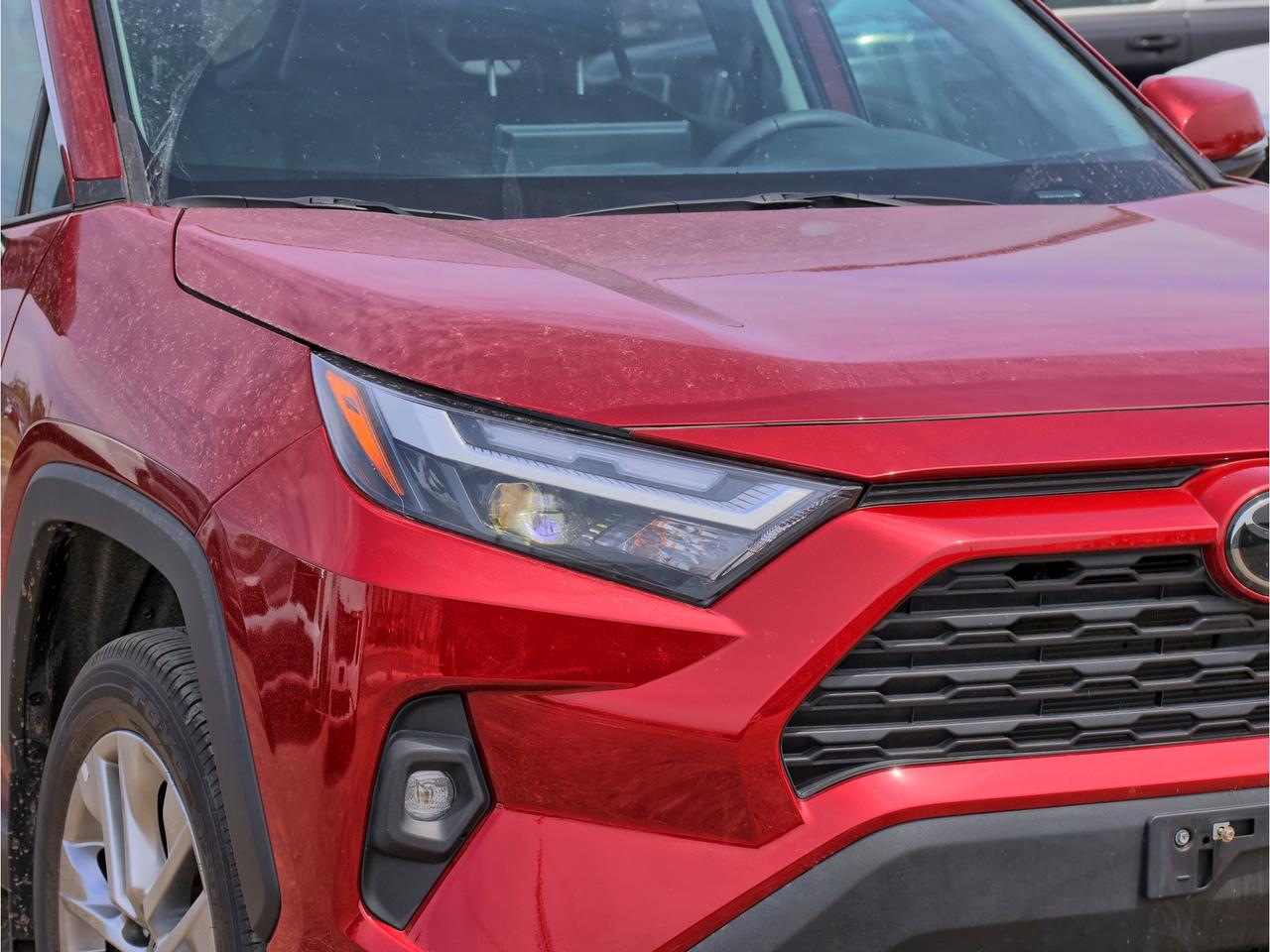 2024 Toyota RAV4 XLE Premium AWD Photo