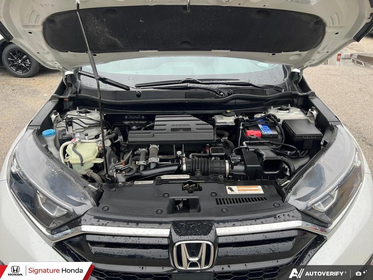 2022 Honda CR-V LX Photo