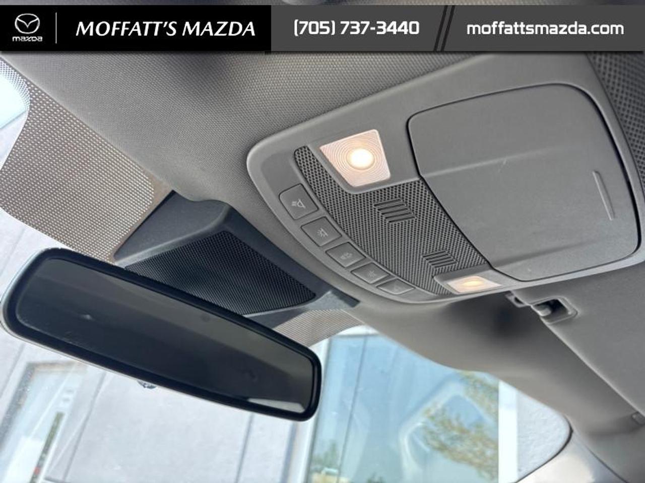 2020 Ford F-150 XLT Photo