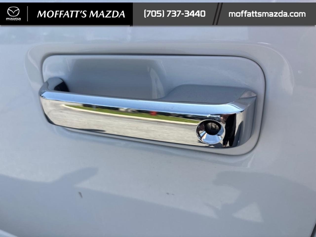 2020 Ford F-150 XLT Photo