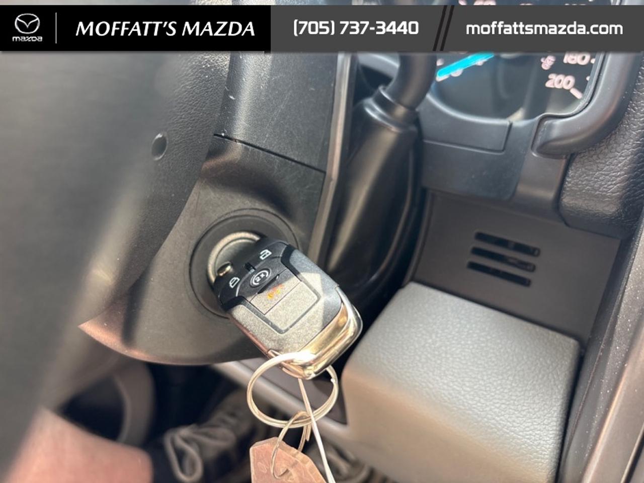 2020 Ford F-150 XLT Photo
