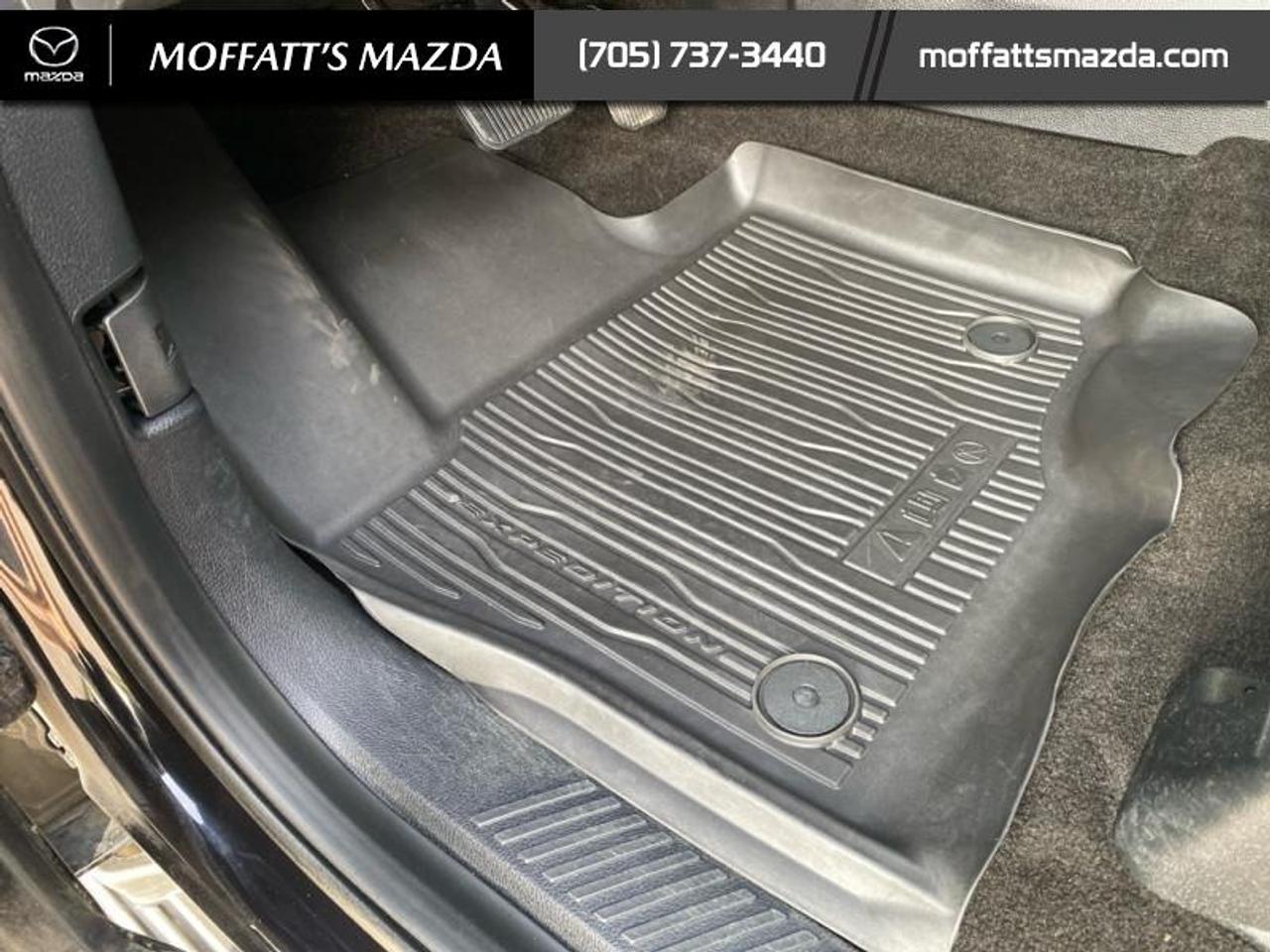 2020 Ford Expedition XLT Photo