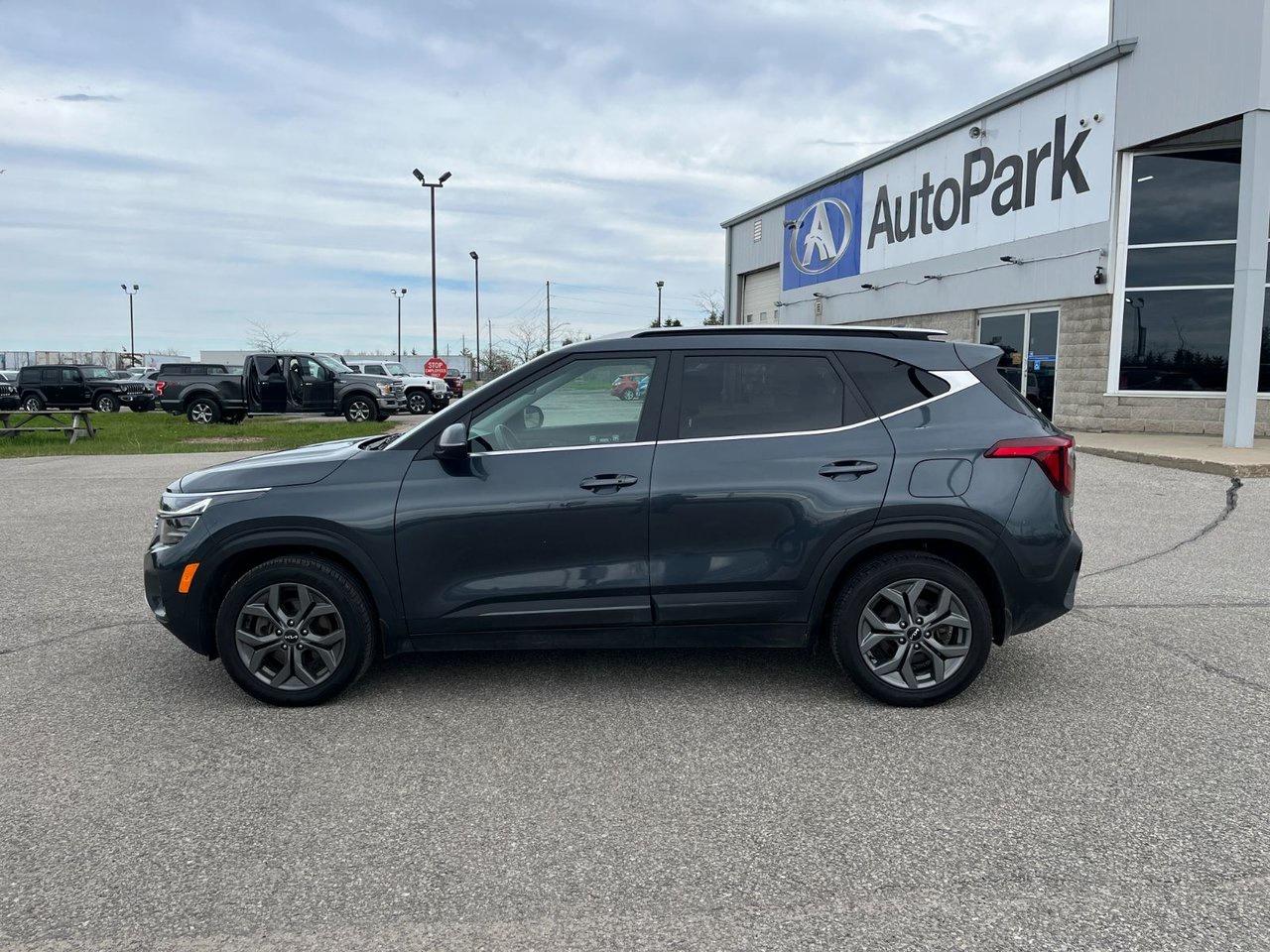 2024 Kia Seltos EX AWD Photo