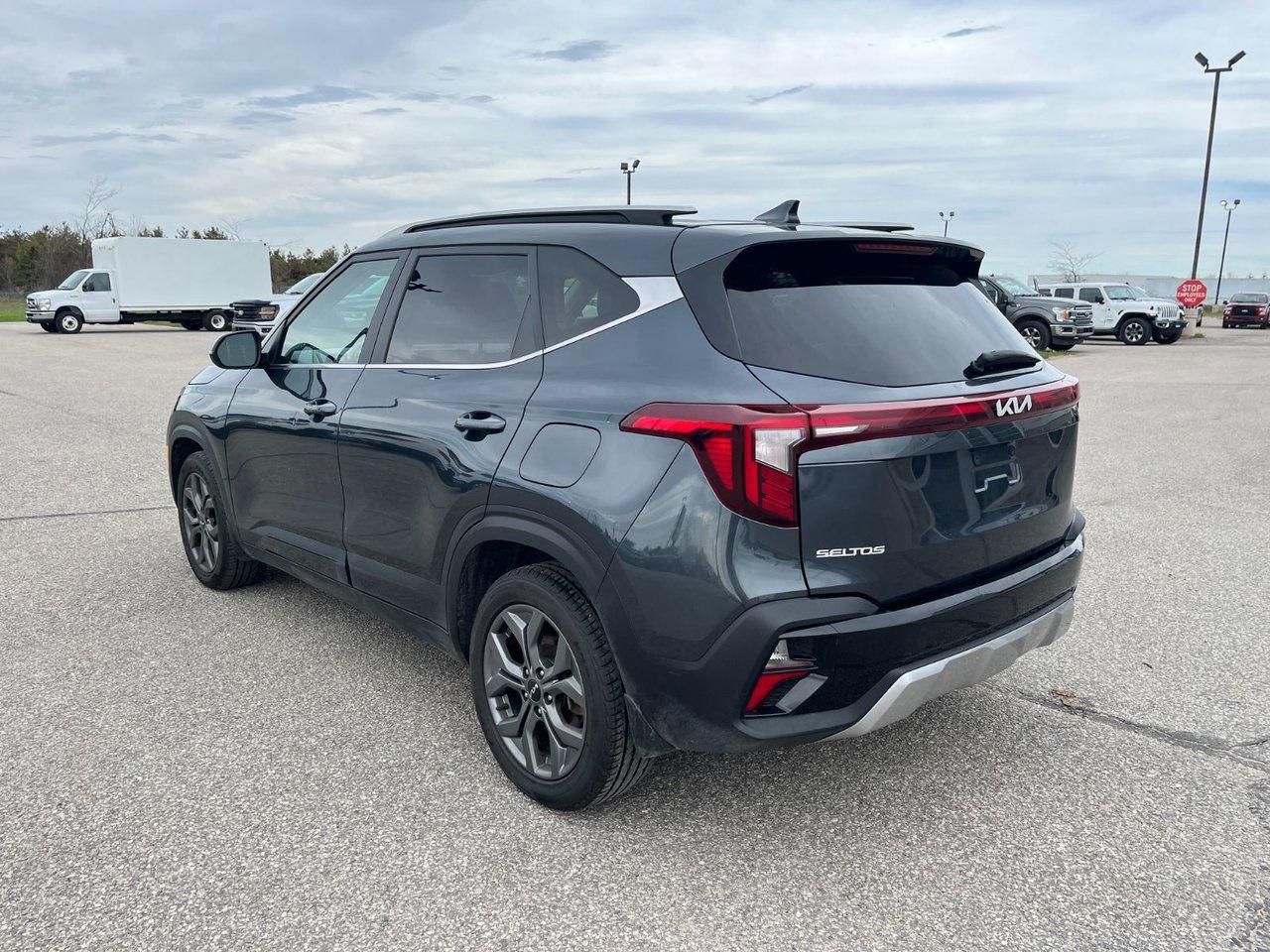 2024 Kia Seltos EX AWD Photo