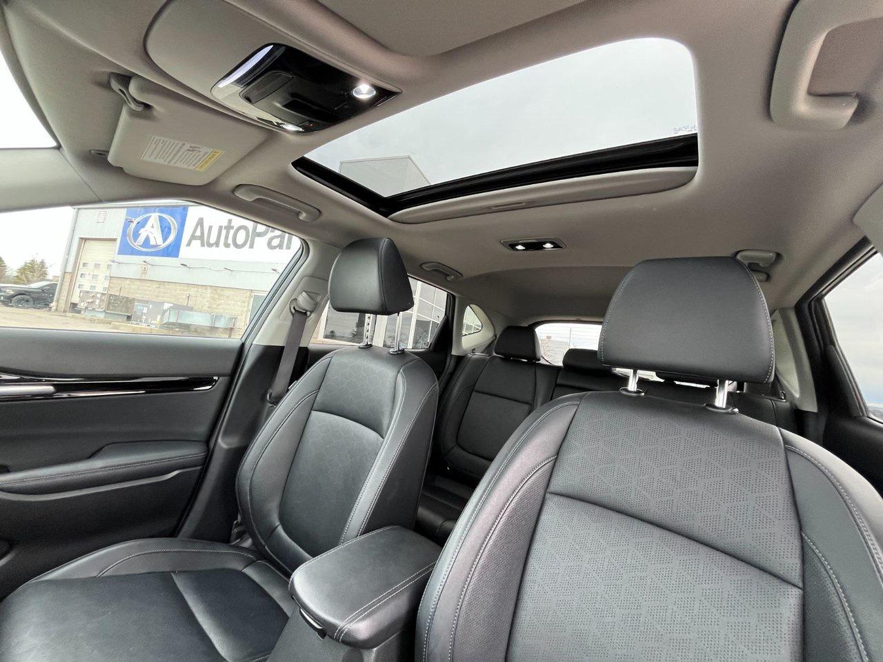 2024 Kia Seltos EX AWD Photo