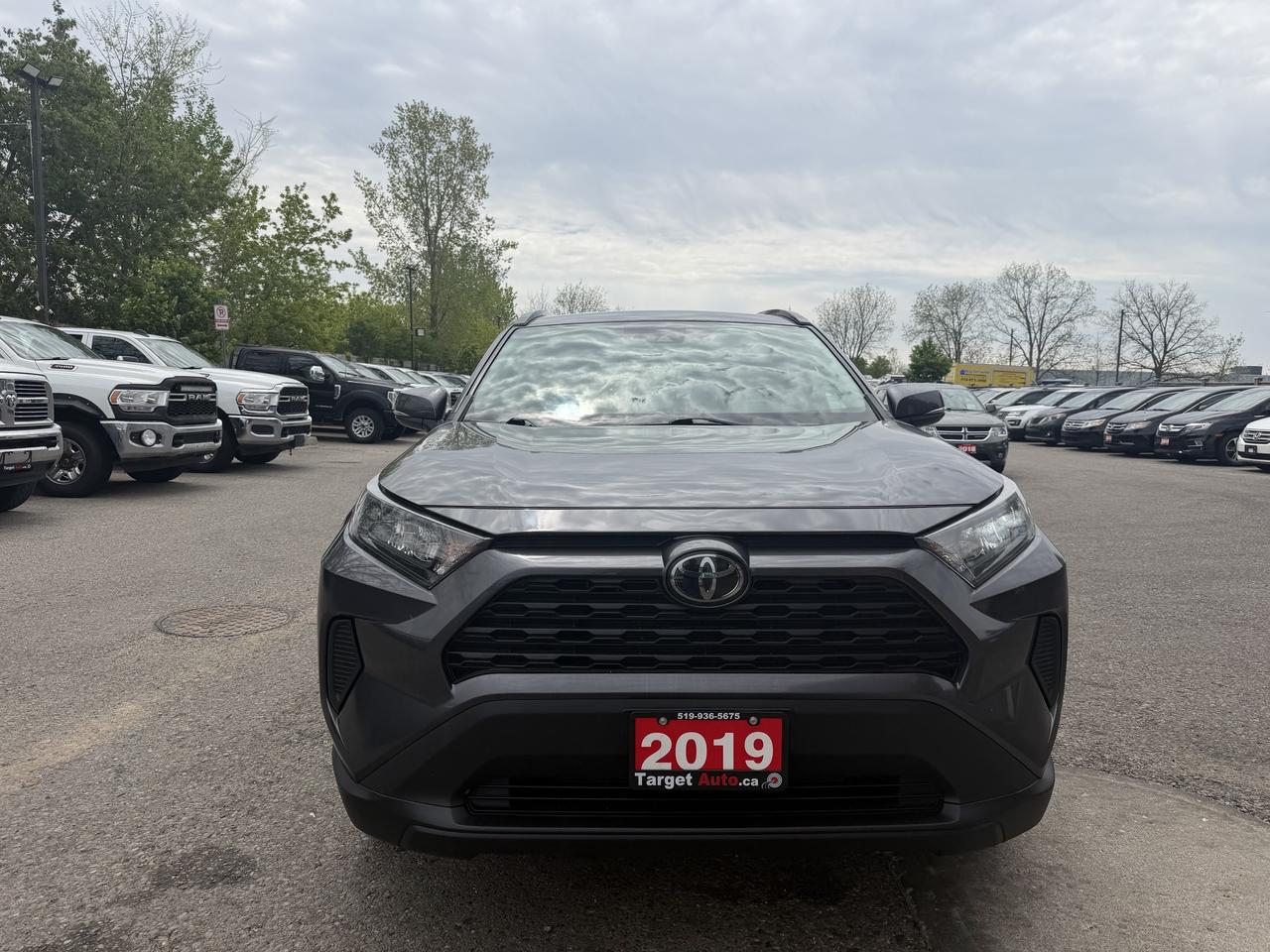 2019 Toyota RAV4 LE | CLEAN CARFAX Photo