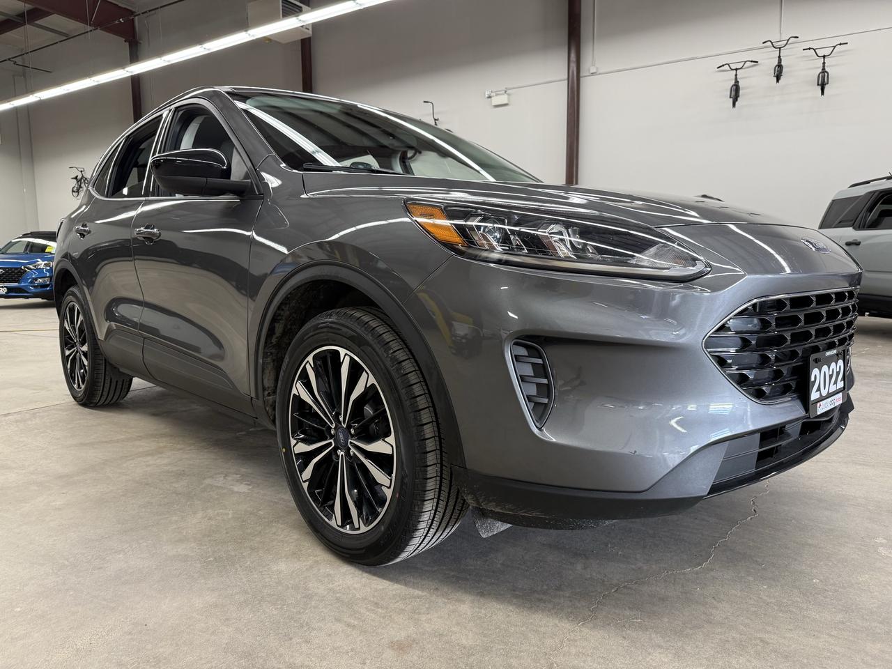 2022 Ford Escape SE Photo